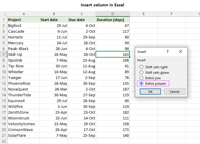 Inserting a column in Excel