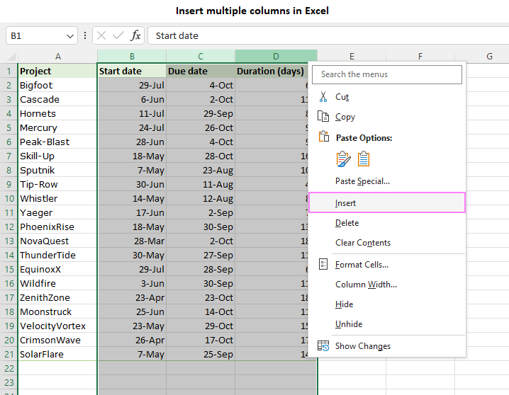 Insert multiple columns in Excel.
