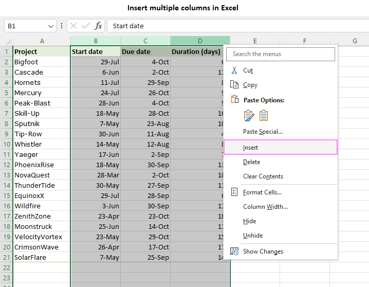 How to insert column in Excel single multiple every other