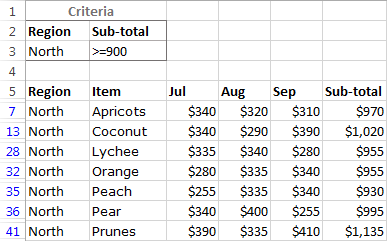 Rows filtered according to the Advanced Filer criteria.