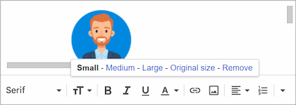 Selecting the image size in Gmail signature settings.
