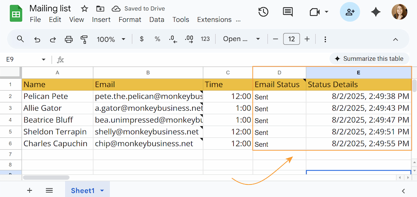 The add-on automatically adds two columns to your mailing list to track the status and details of each email.