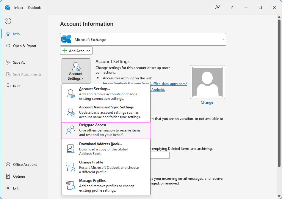 Navigate to the Delegate Access settings in Outlook.