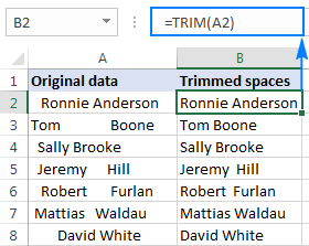 excel trim function not working