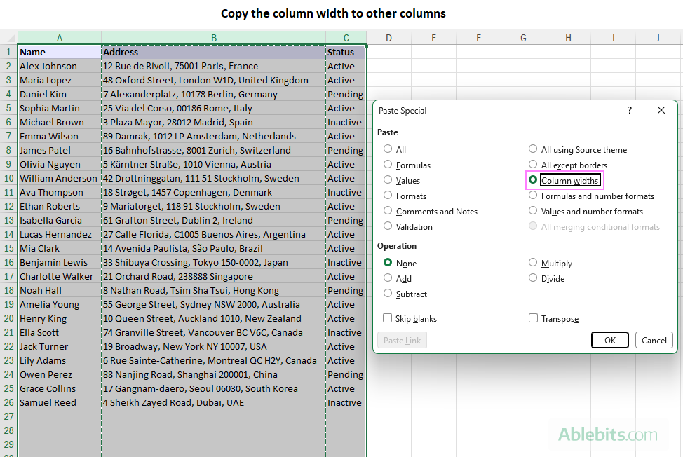 Copy the width of a given column to other columns in Excel.