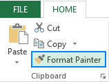 Excel Format Painter button