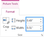 Supply the desired height and width of the image in inches.