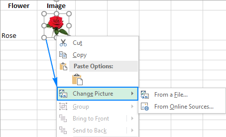 Replacing a picture in Excel