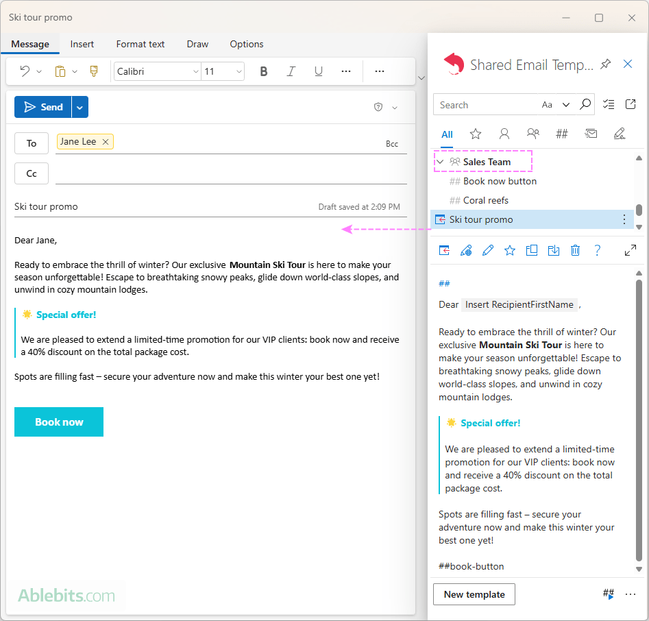 An Outlook email template is shared with the team.