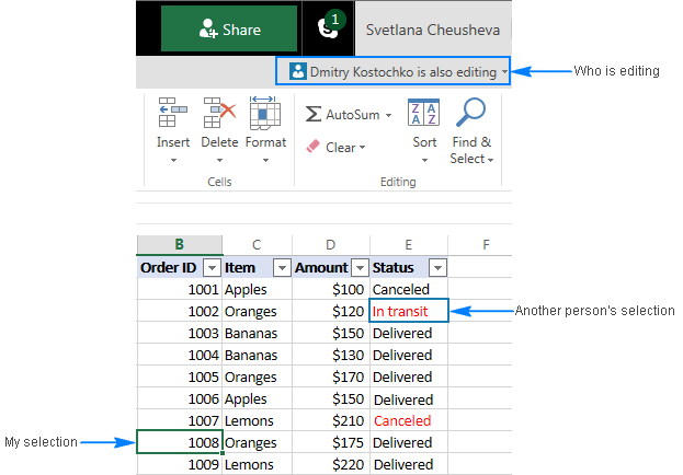 how to work with multiple users on an excel worksheet