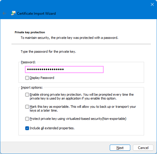 Enter the password you received for the certificate and configure the Import options.