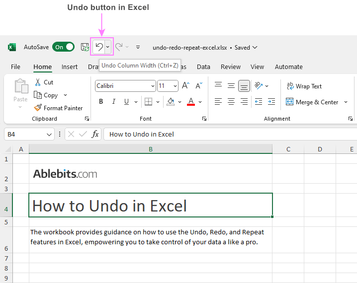 Undo in Excel