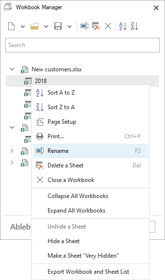 Select this option to rename your worksheet or workbook.
